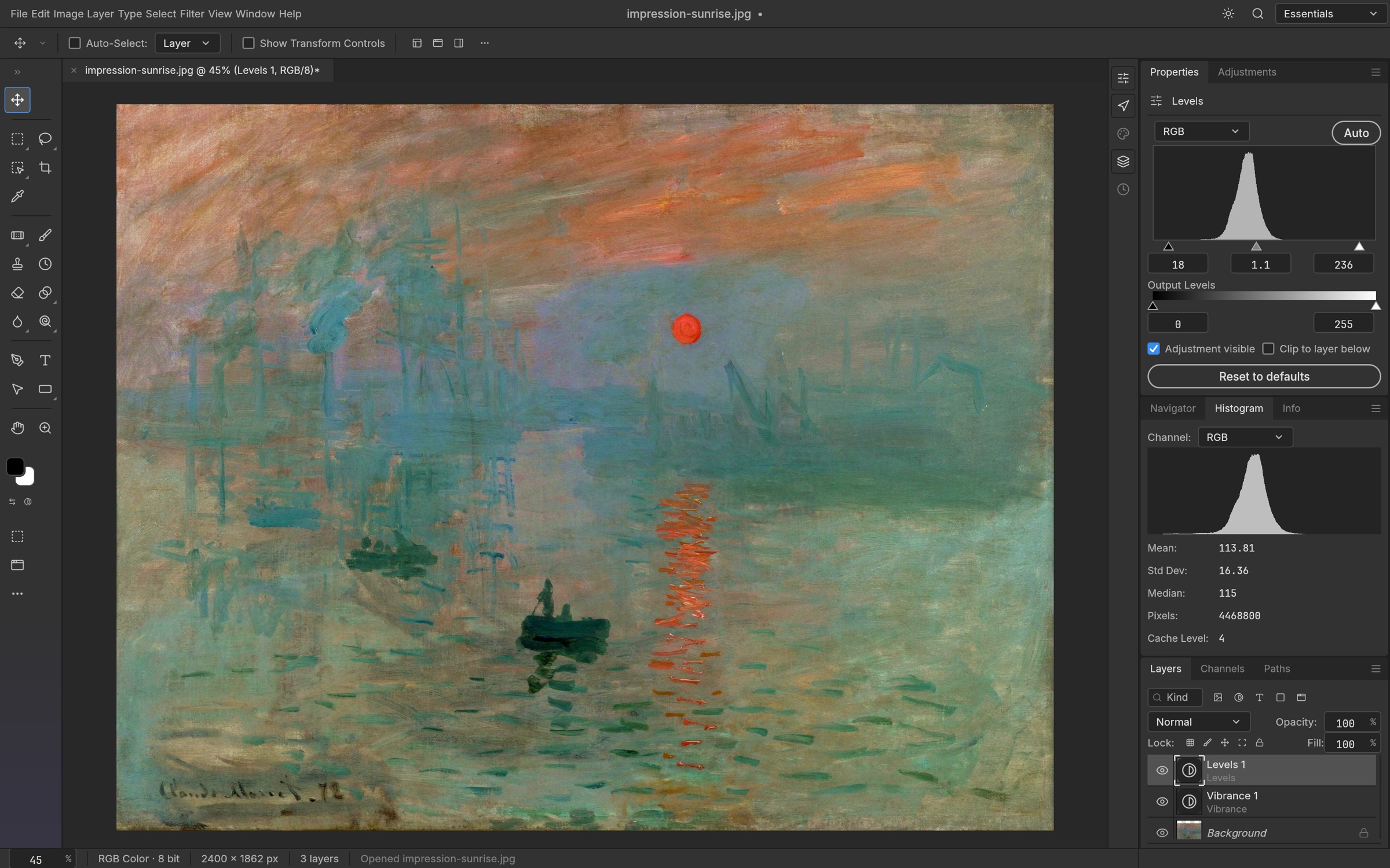 Vibrance and Levels adjustment layers with the Histogram panel